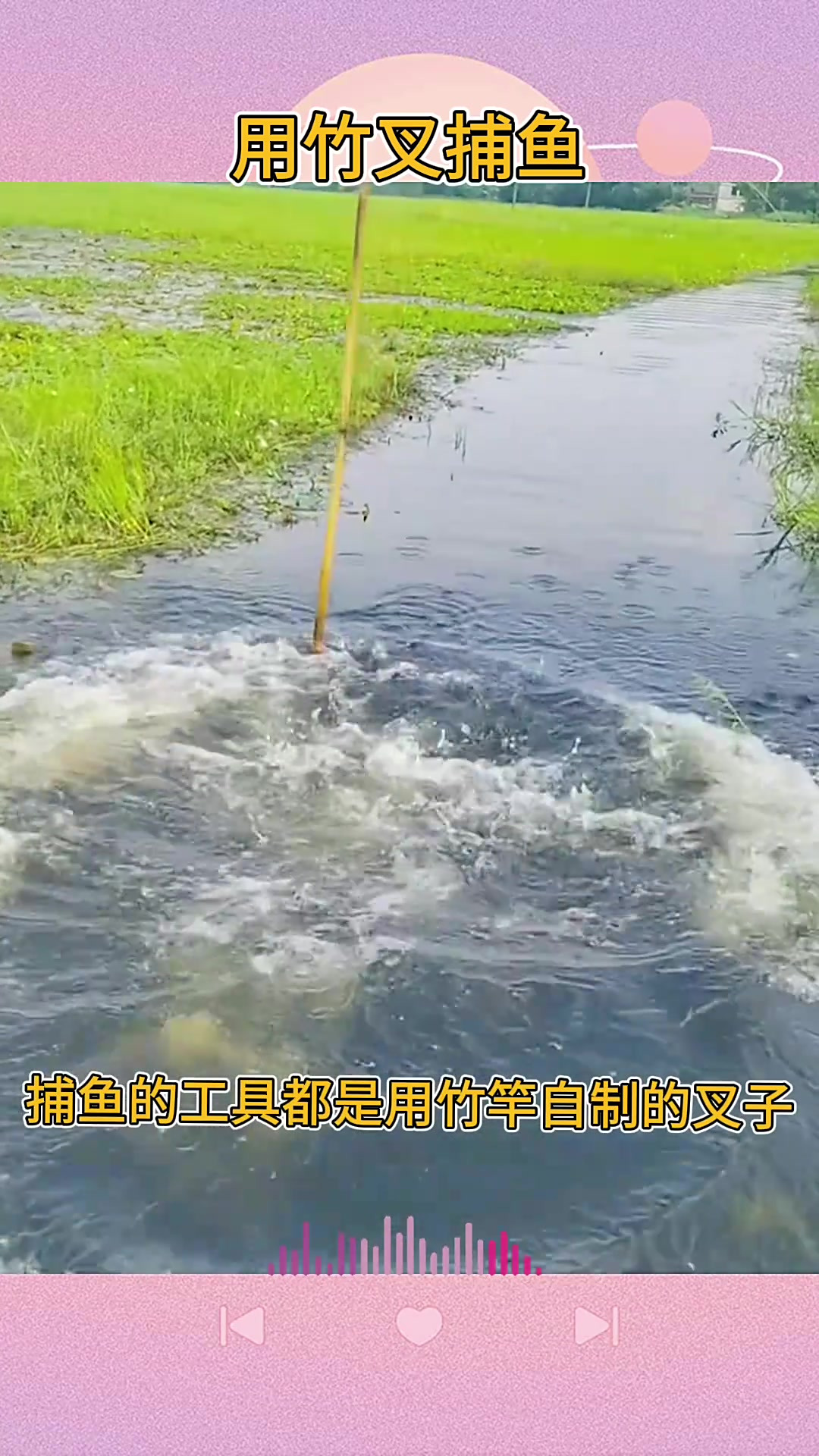 印度小伙原始捕鱼法:精准叉鱼技艺令人惊叹
