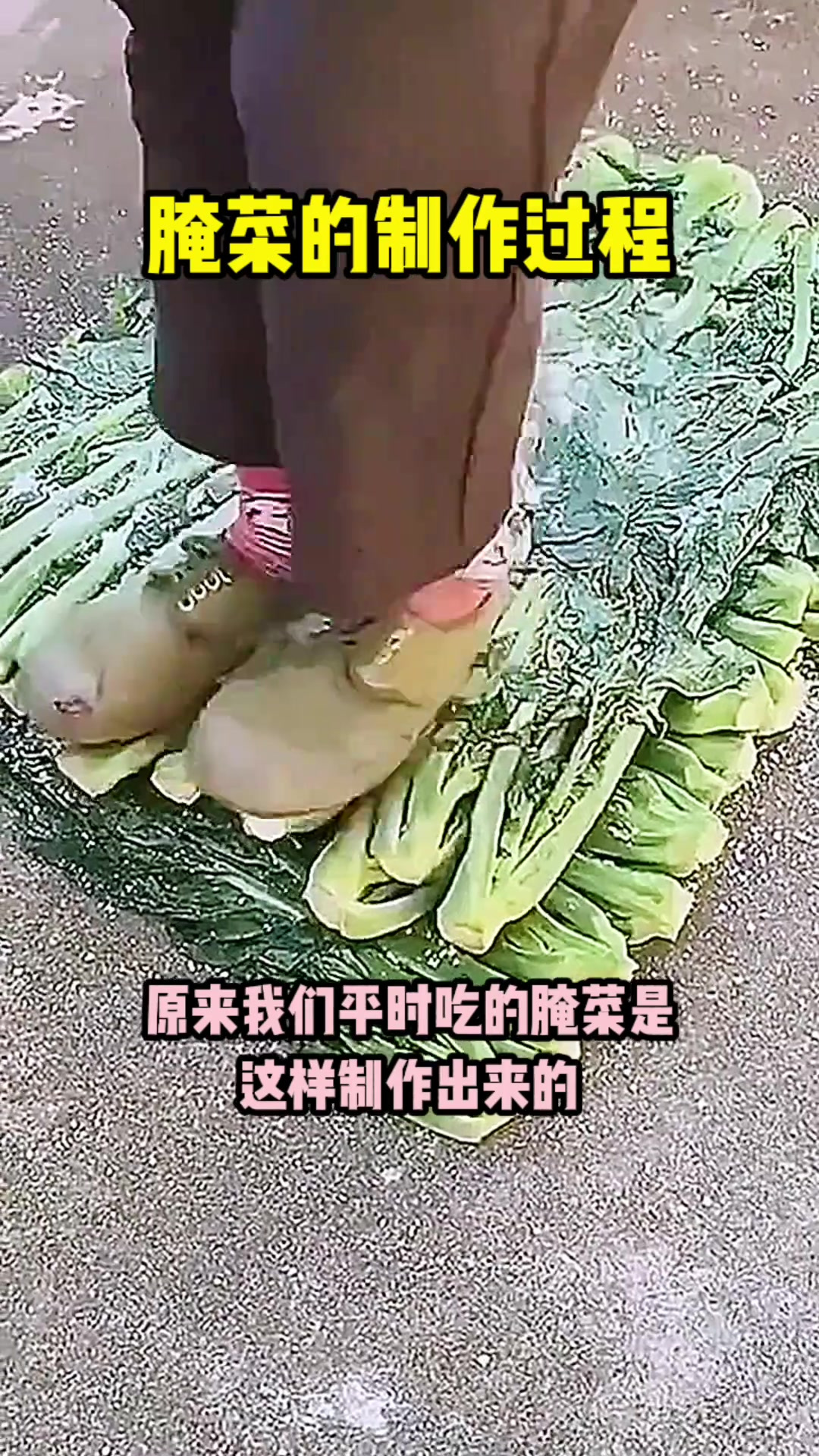 腌菜的制作过程,真是开眼了