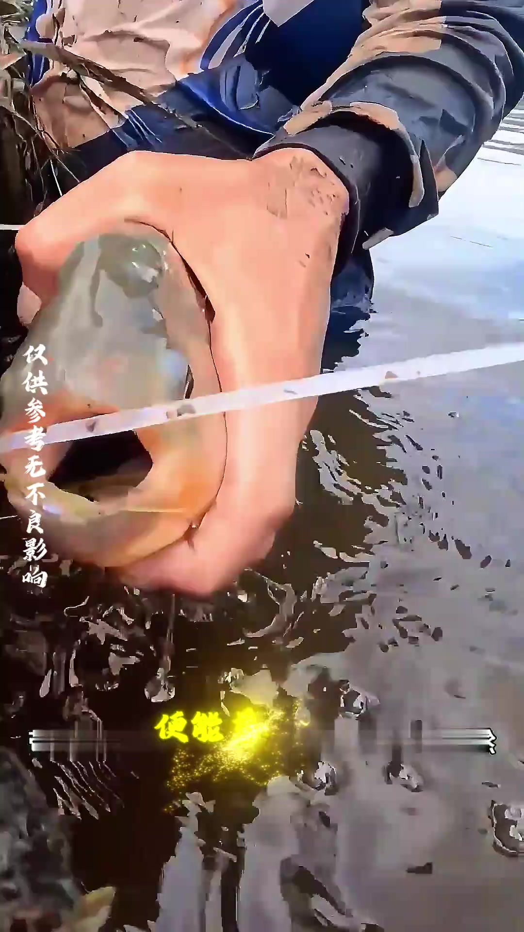 外国小哥竟然用食人鱼当剪刀,并做成美食吃掉,这能好吃吗