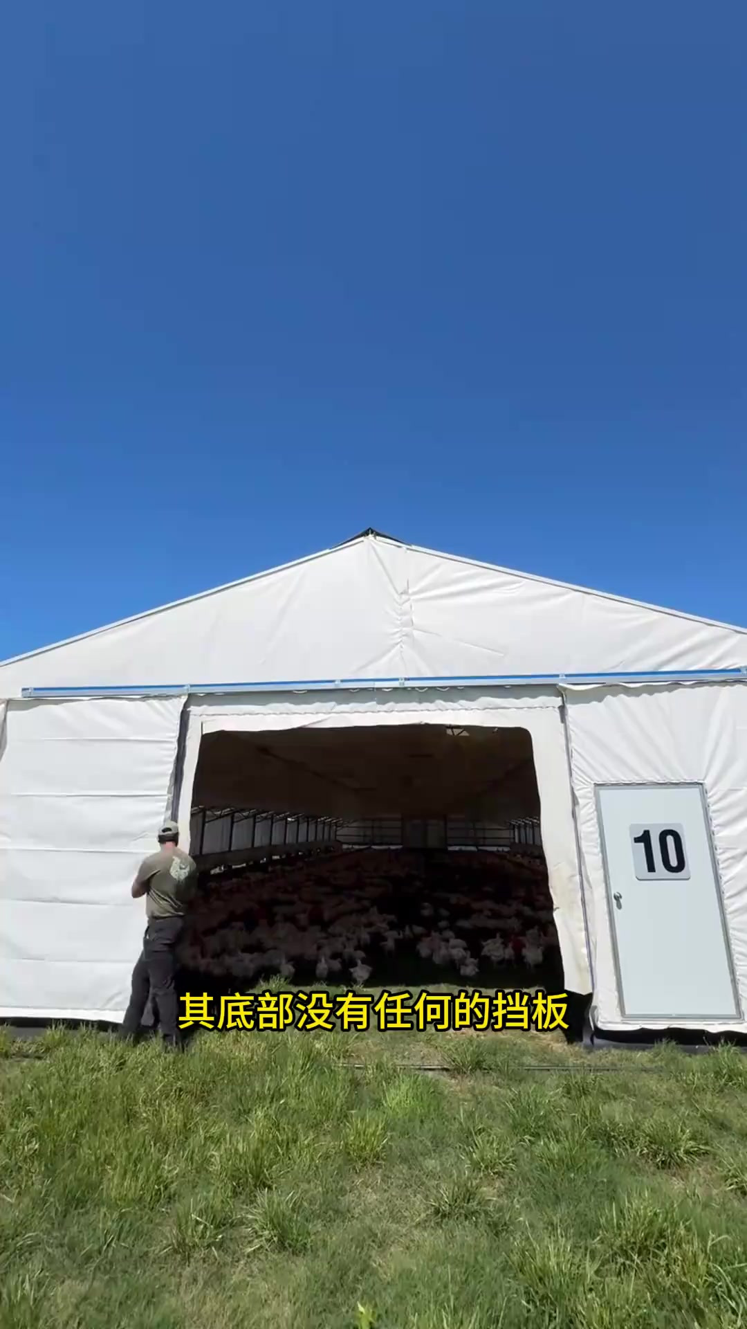 新型发明移动式养鸡场,高级鸡肉都是从这里面产出的