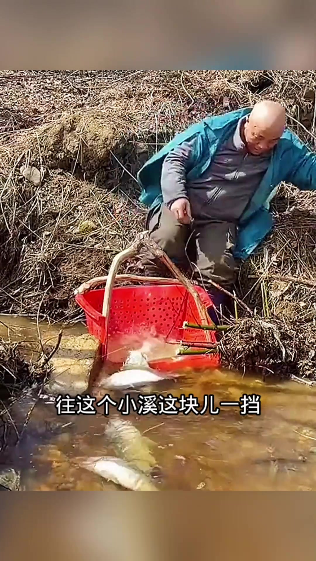 聪明捕鱼法:塑料筐轻松捞鱼,竟让鱼沉醉入睡!
