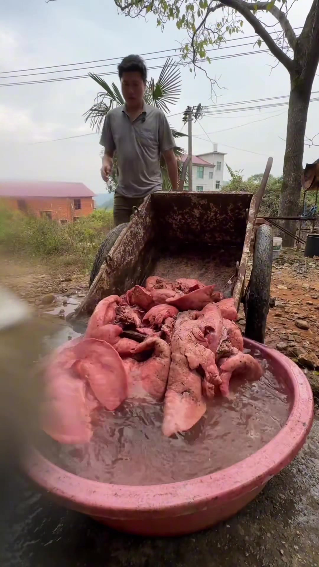 制作麻辣猪肺片，真是好吃