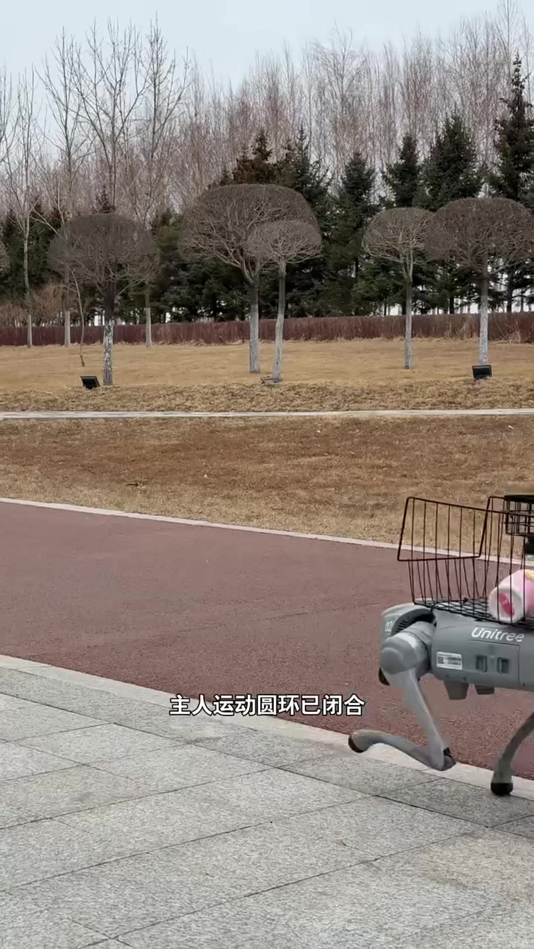 机器狗都学会去奶茶店了，都能替我买回奶茶了