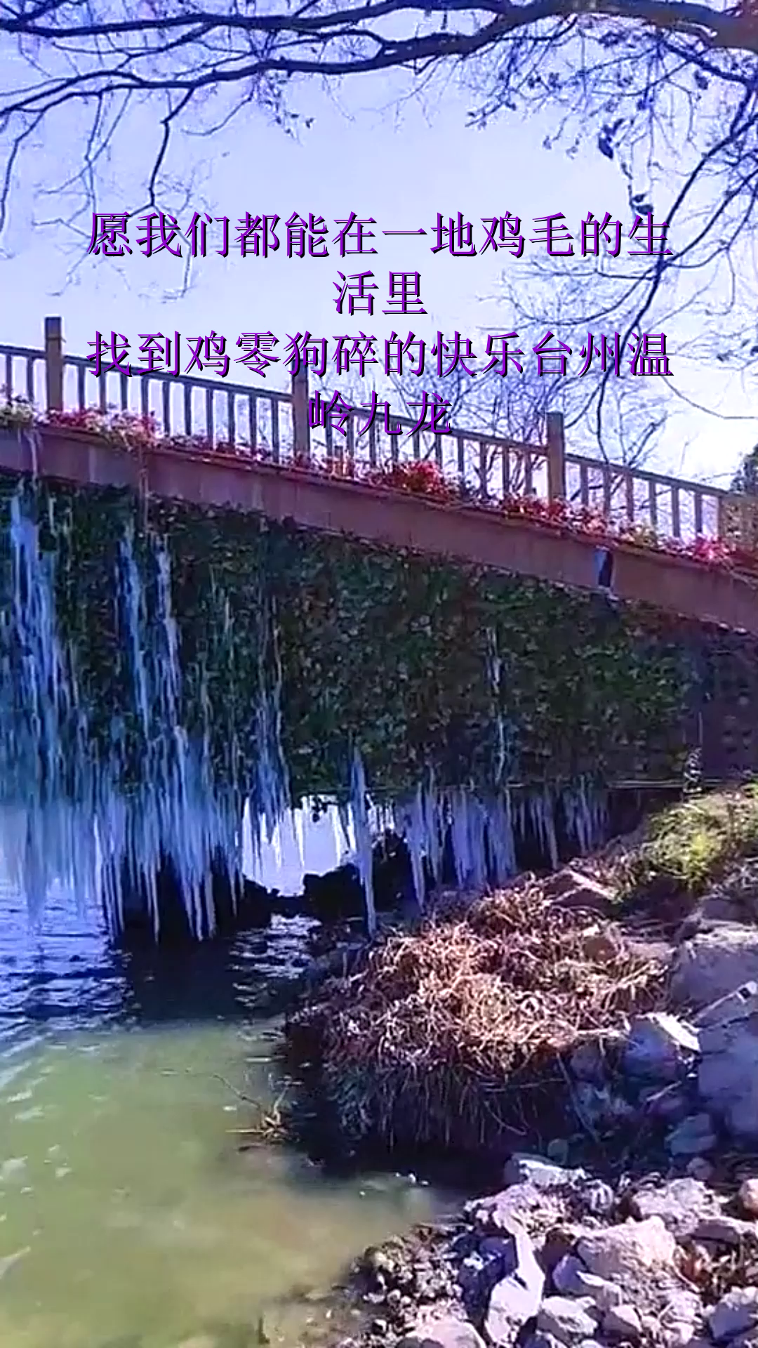 愿我们都能在一地鸡毛的生活里，找到鸡零狗碎的快乐台州温岭九龙