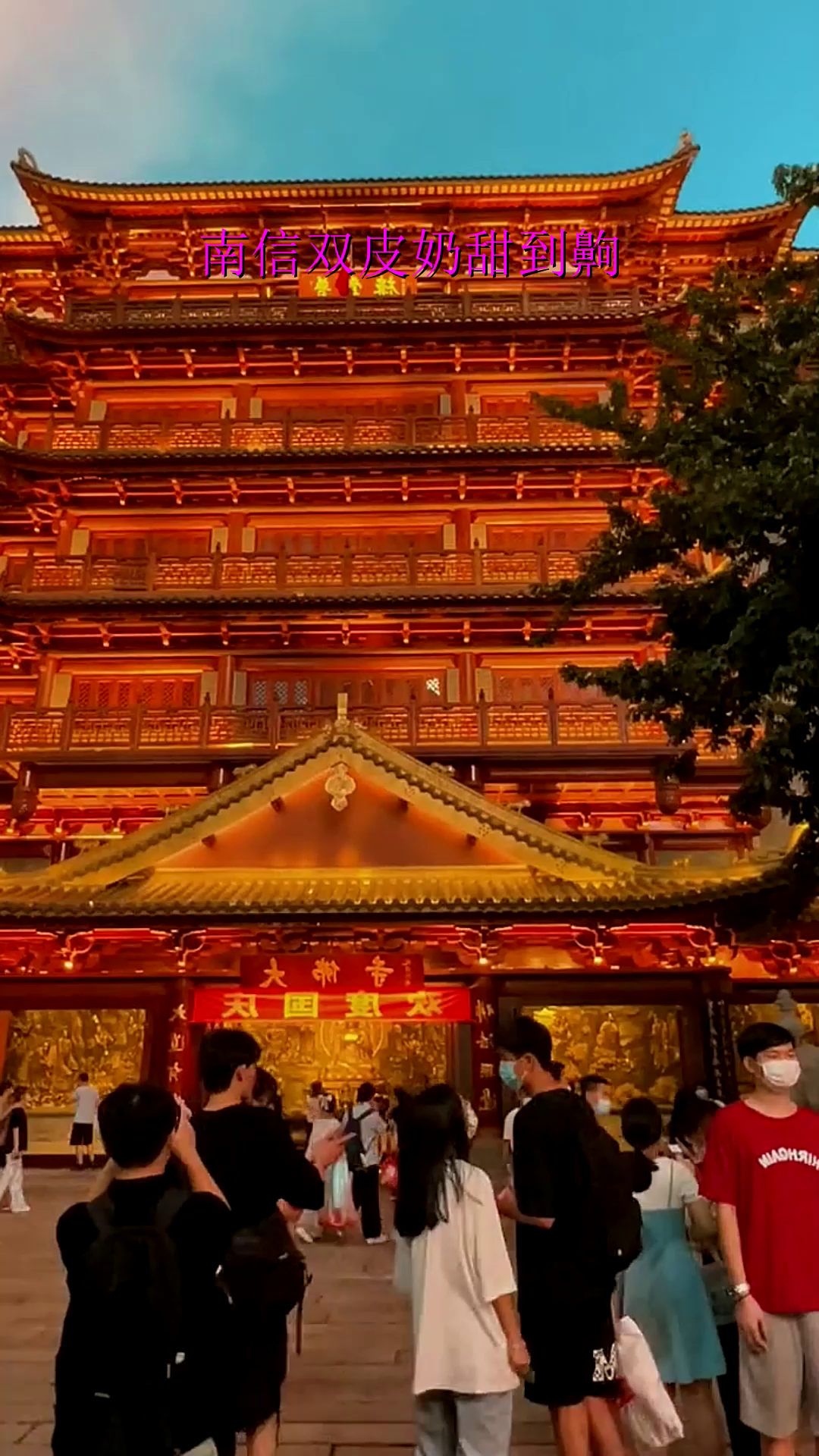 南信双皮奶甜到齁