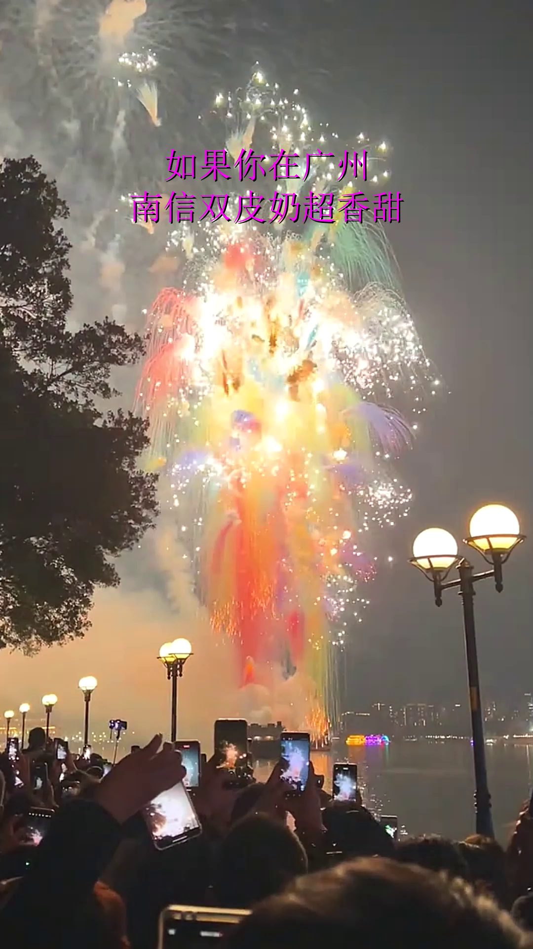 如果你在广州,南信双皮奶超香甜
