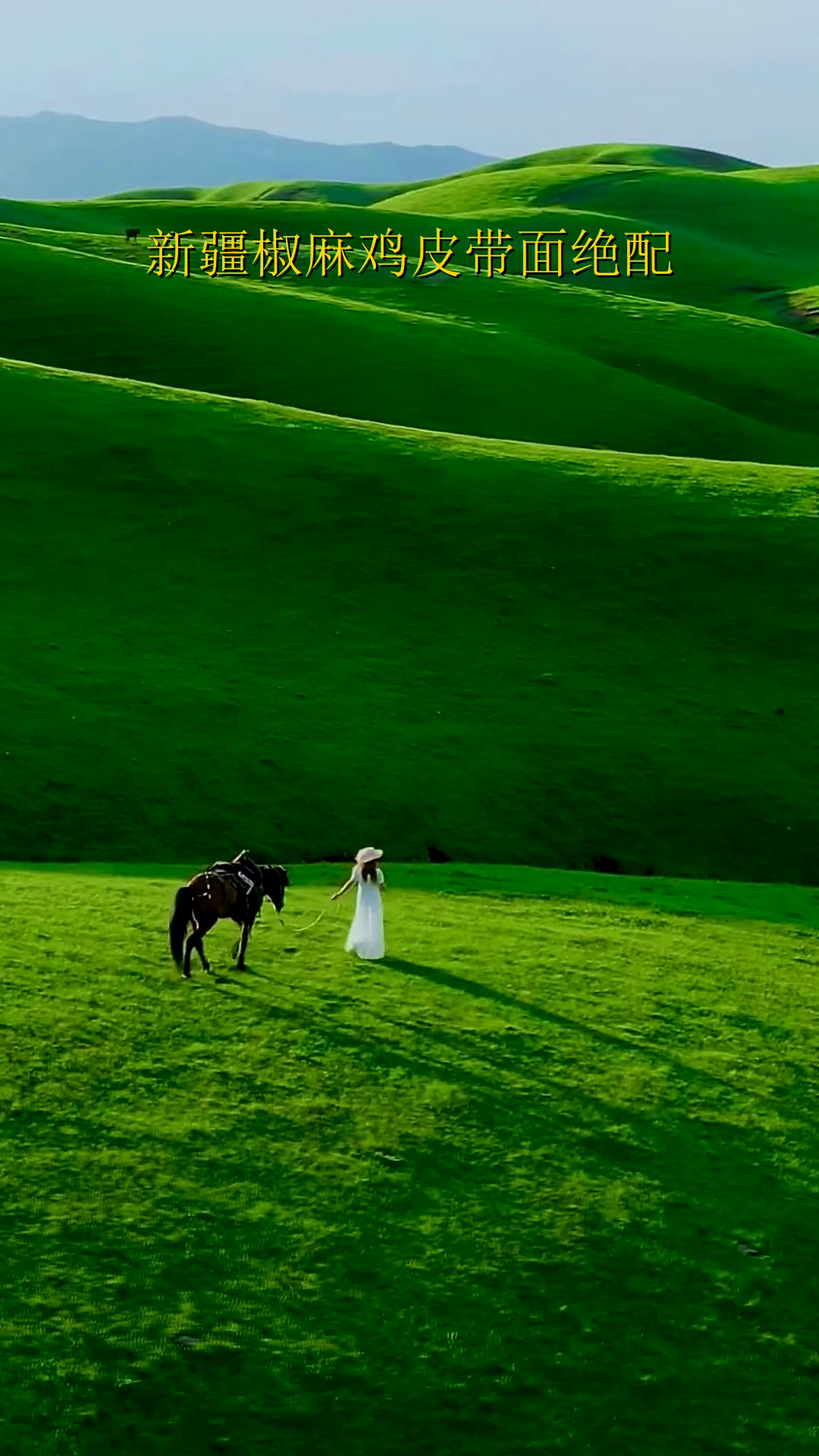 新疆椒麻鸡皮带面绝配