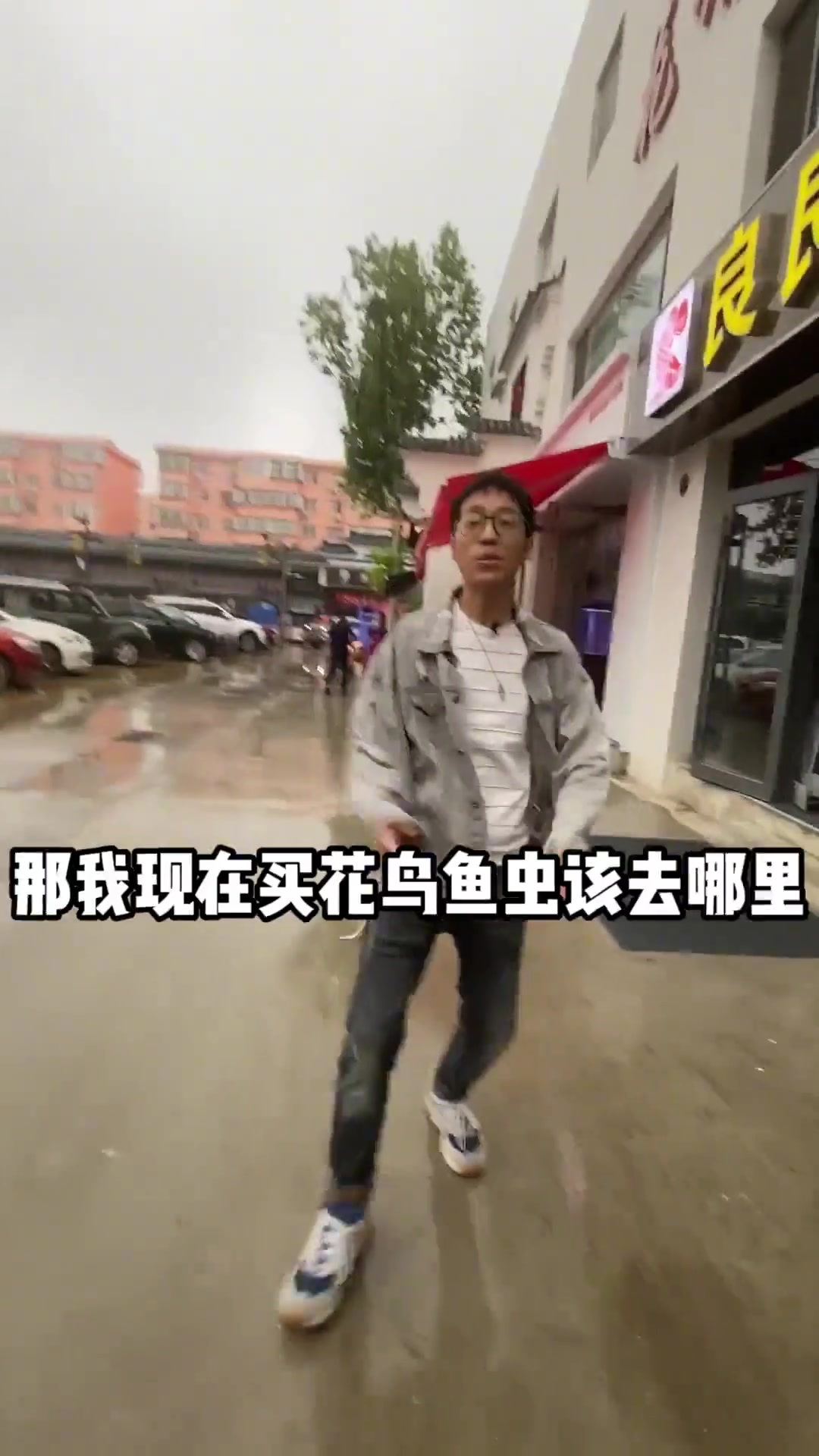 逛什么商场，逛花鸟鱼虫市场它不香么
