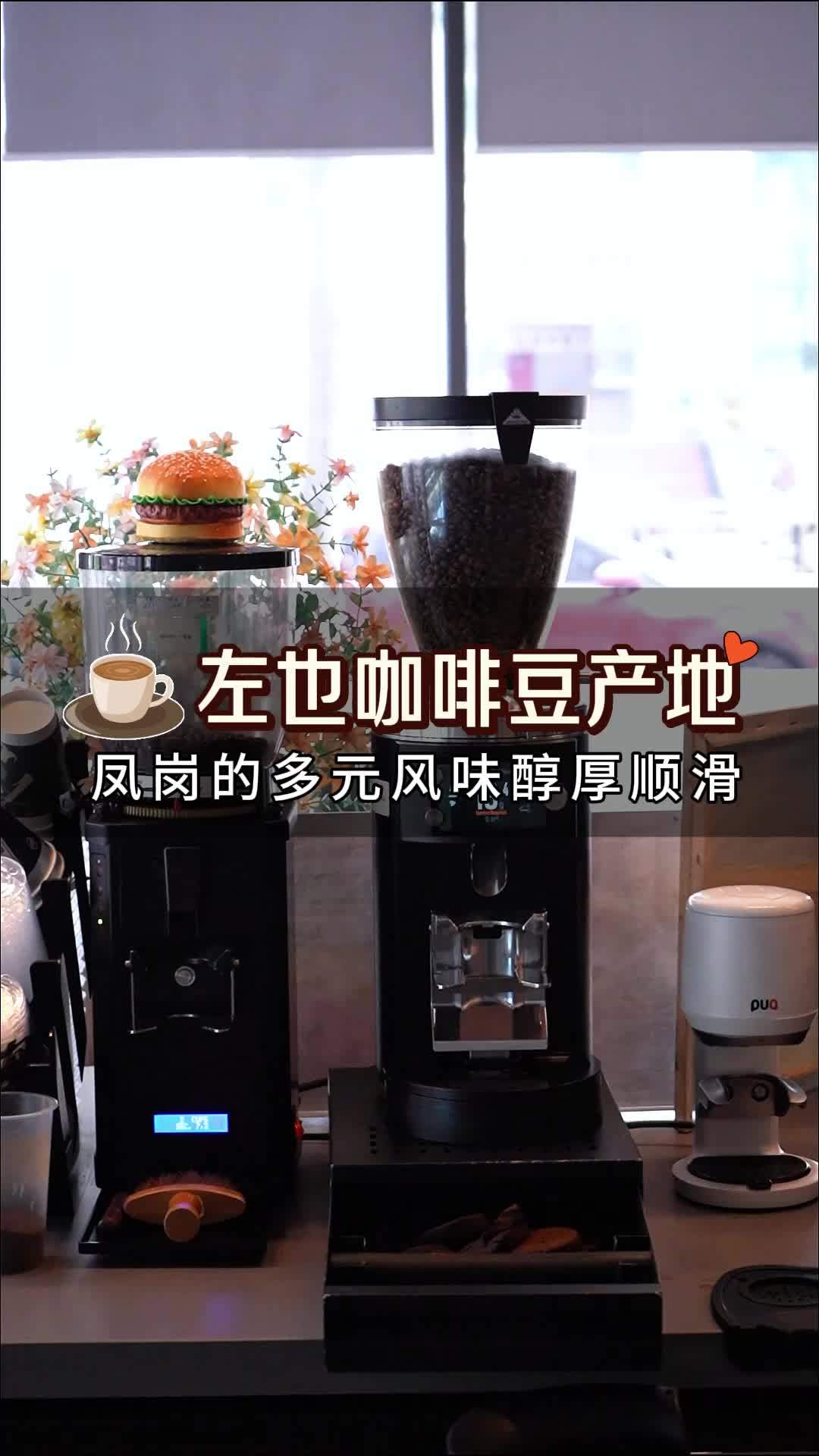 左也咖啡豆产地,凤岗的多元风味醇厚顺滑