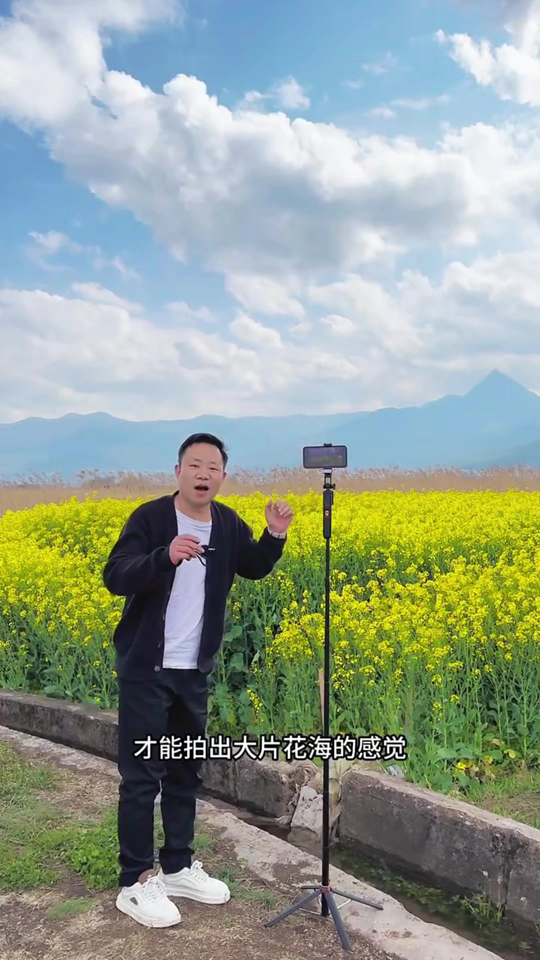 小片油菜花也能拍出氛围照