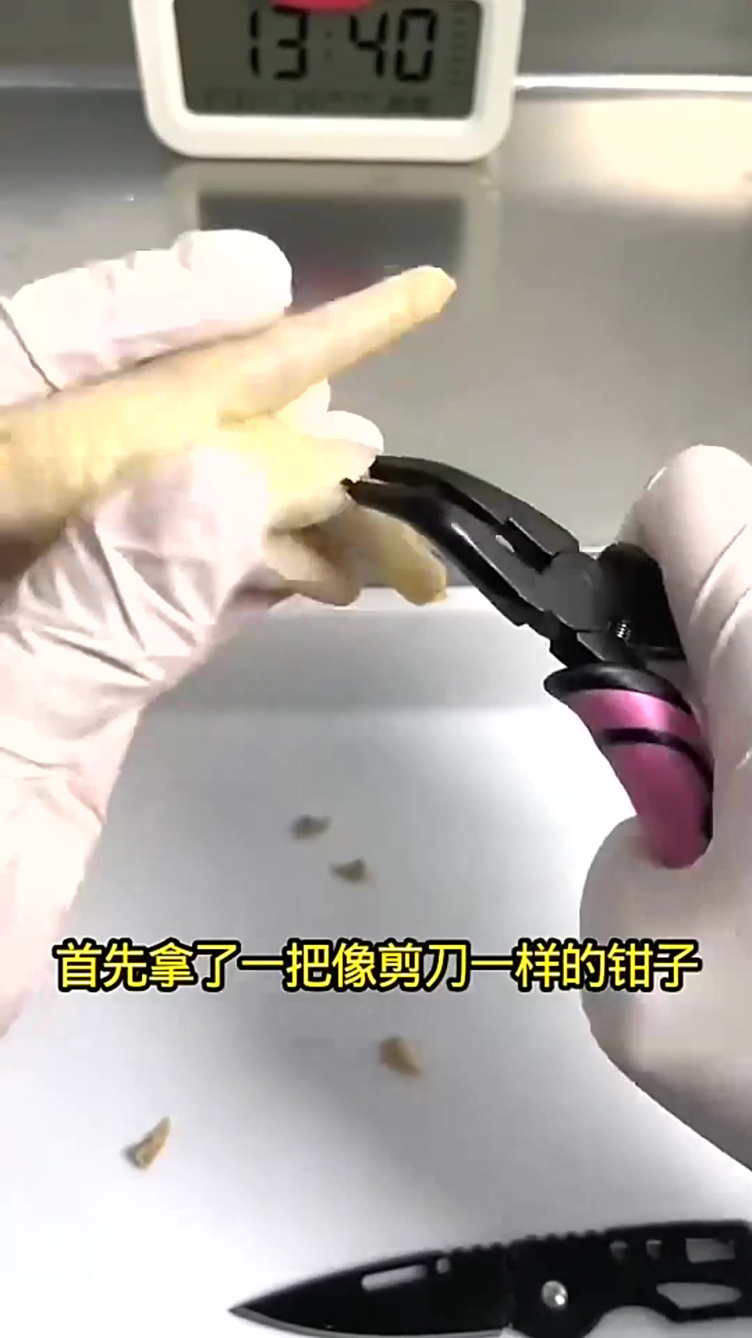 有了这个钳子,自己就可以做无骨鸡爪