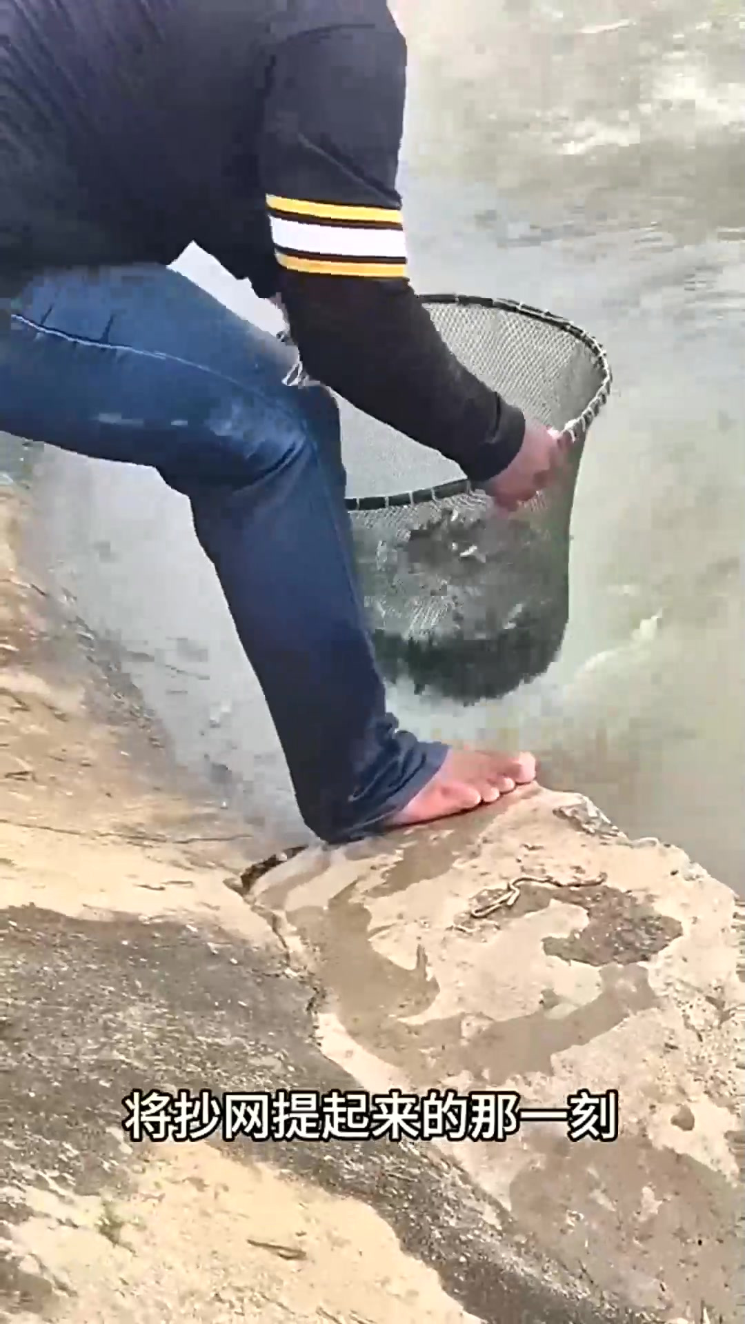 这河里的小鱼也太多了
