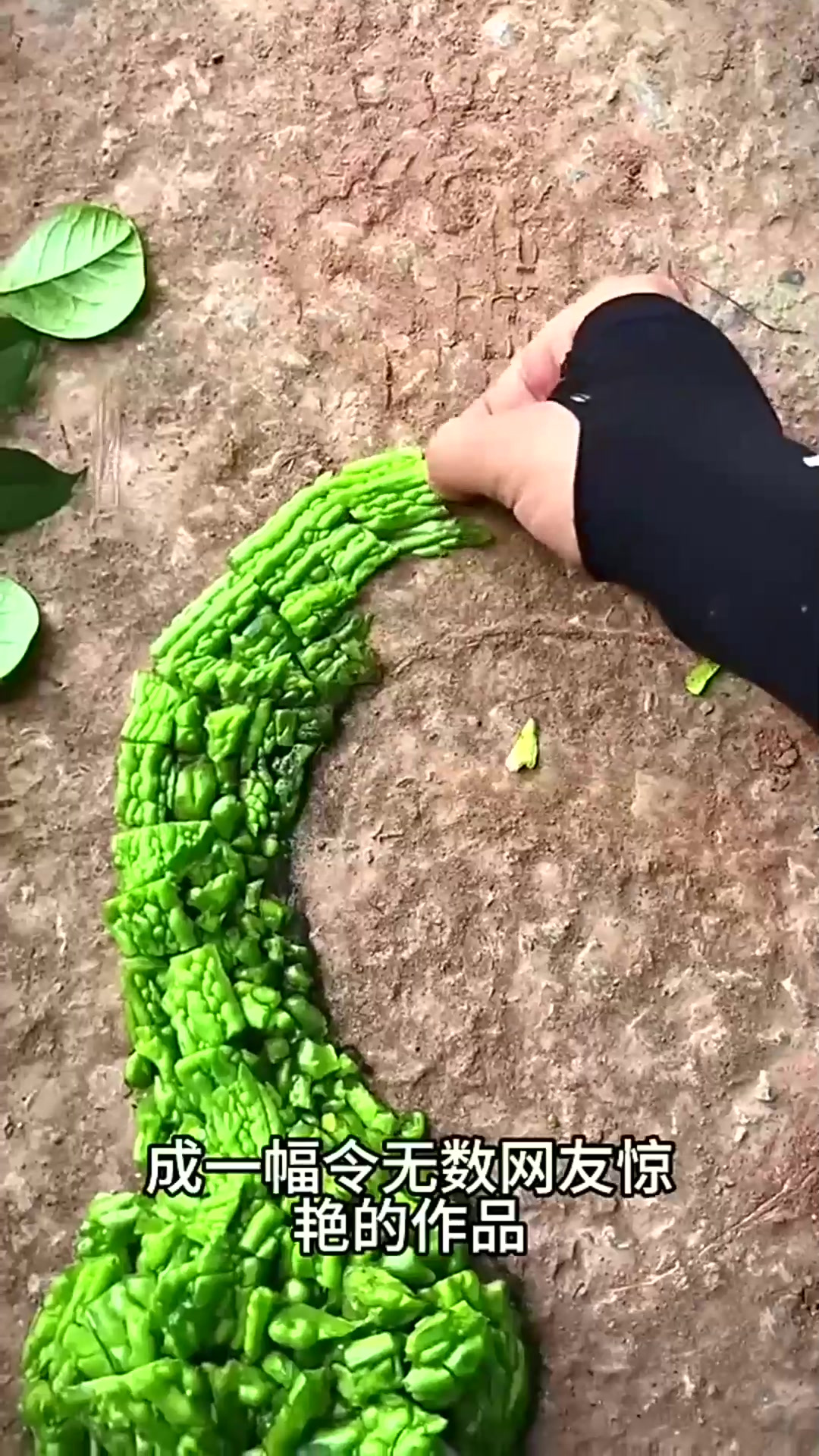 看着男子用蔬菜作画真是高手在民间呀