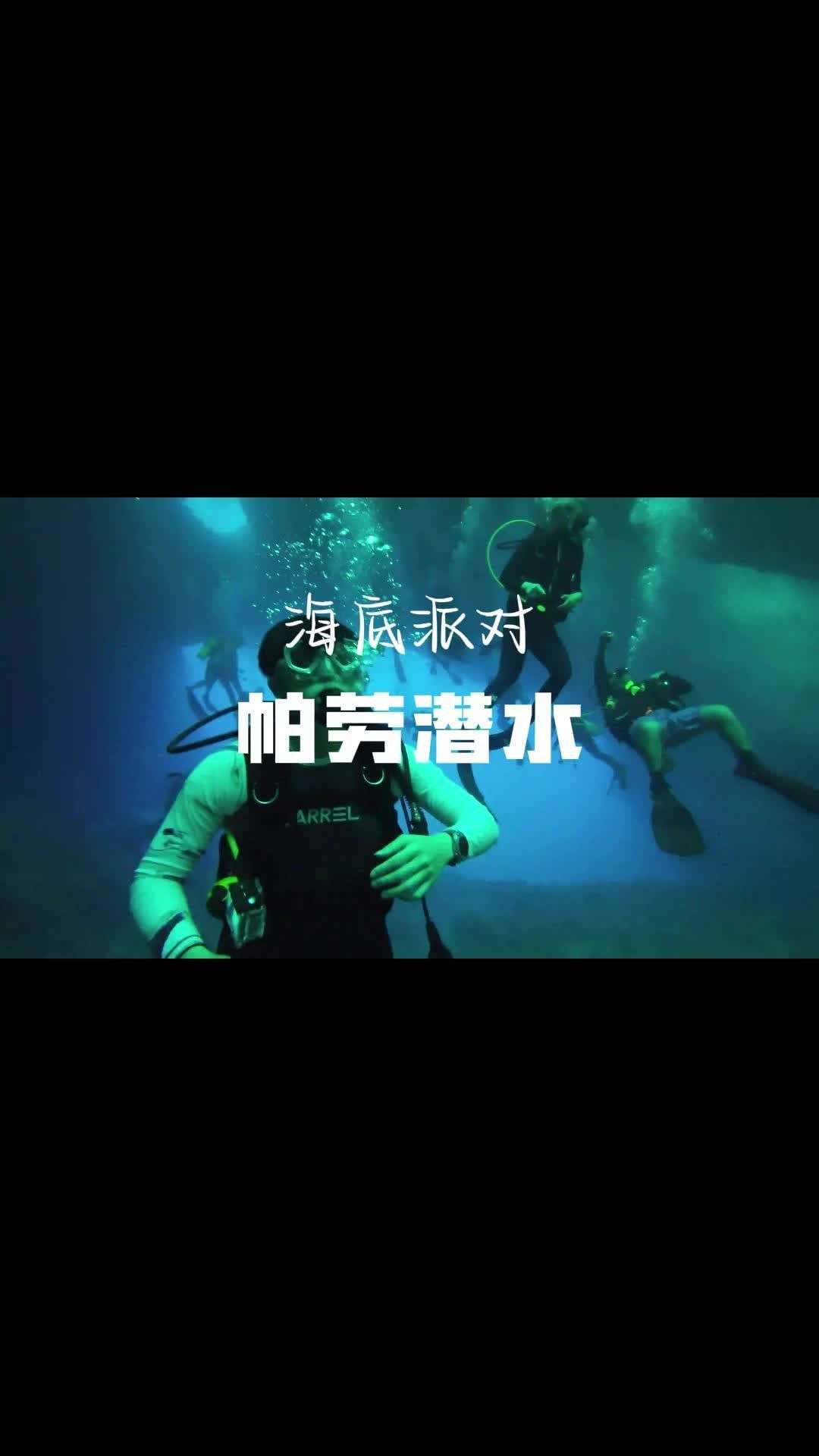 帕劳海底的彩虹世界,每一帧都是屏保级美景 潜水大概费用 帕劳潜水最佳时间