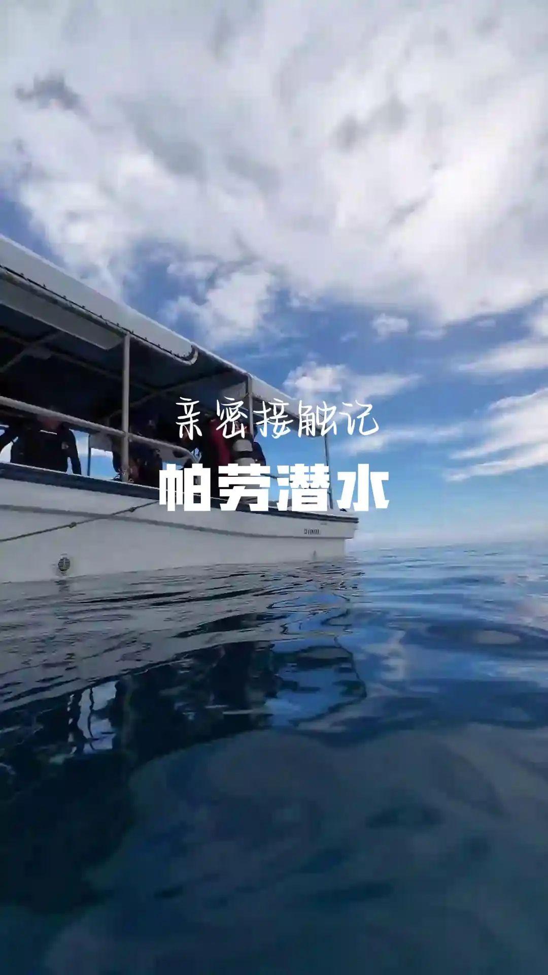 探索深海秘境:深潜带你见证真实海底世界!#帕劳深潜攻略