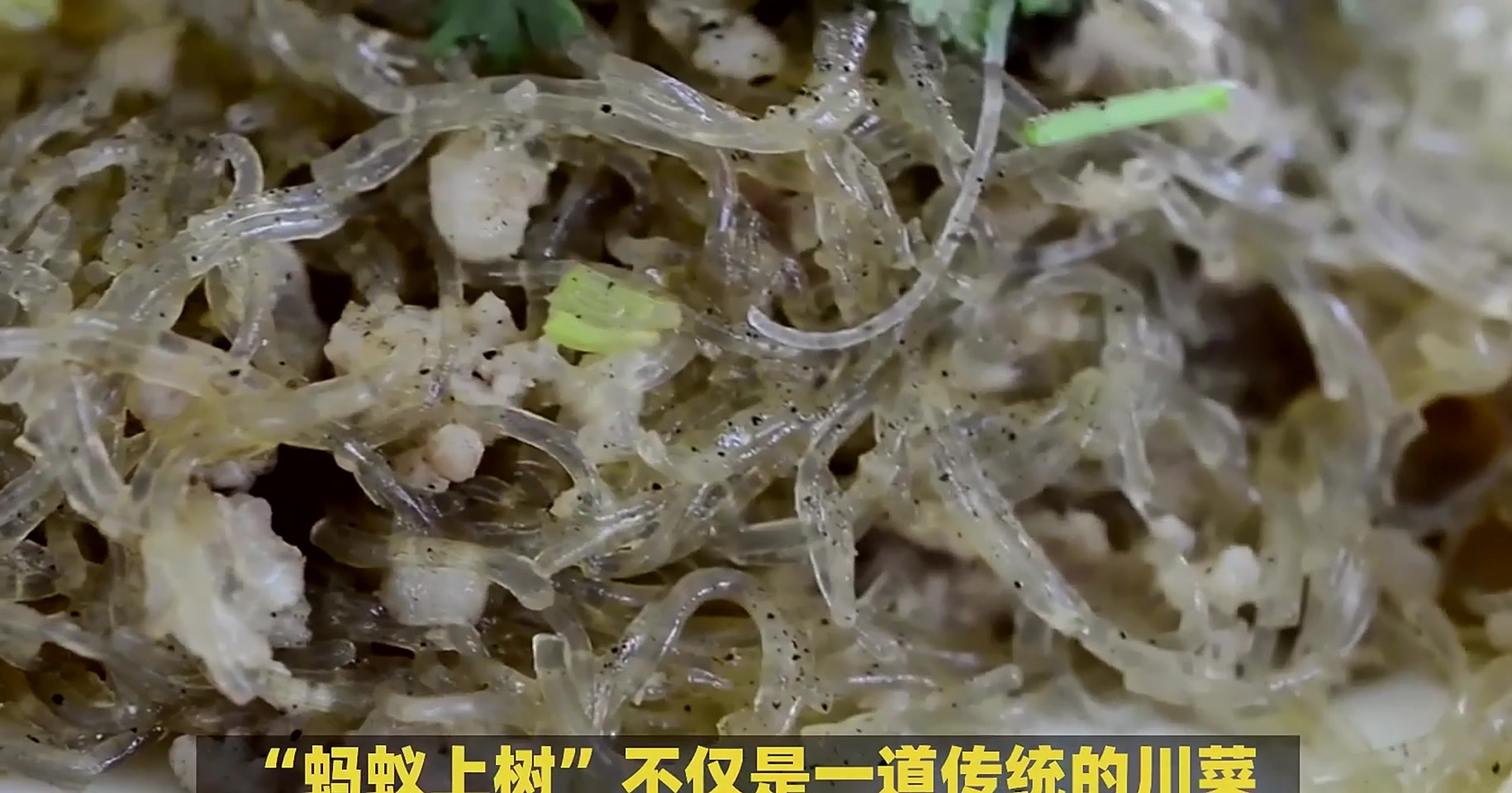 揭秘'蚂蚁上树':一道川菜背后的现代按摩与争议