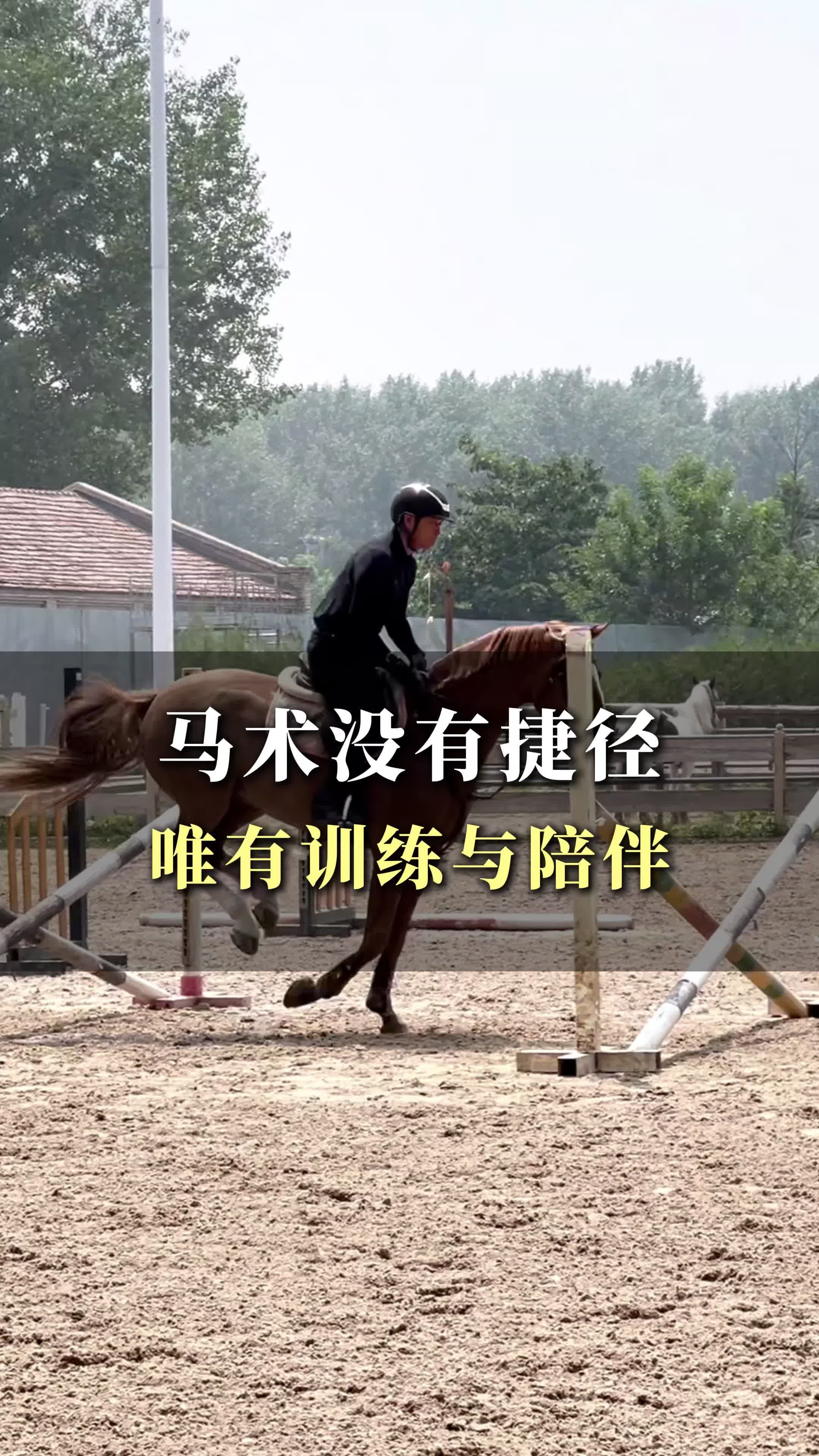 掌握马术技巧,成为专业教练的必经之路!#马术教练培训 #北京马术教练培训 #马术教练培训价