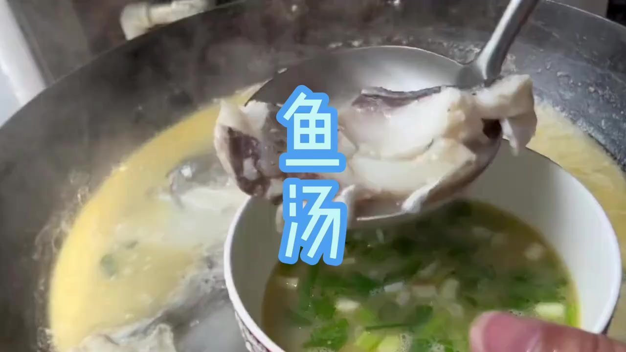 一锅不简单的超鲜鲢鱼汤，鲜得很