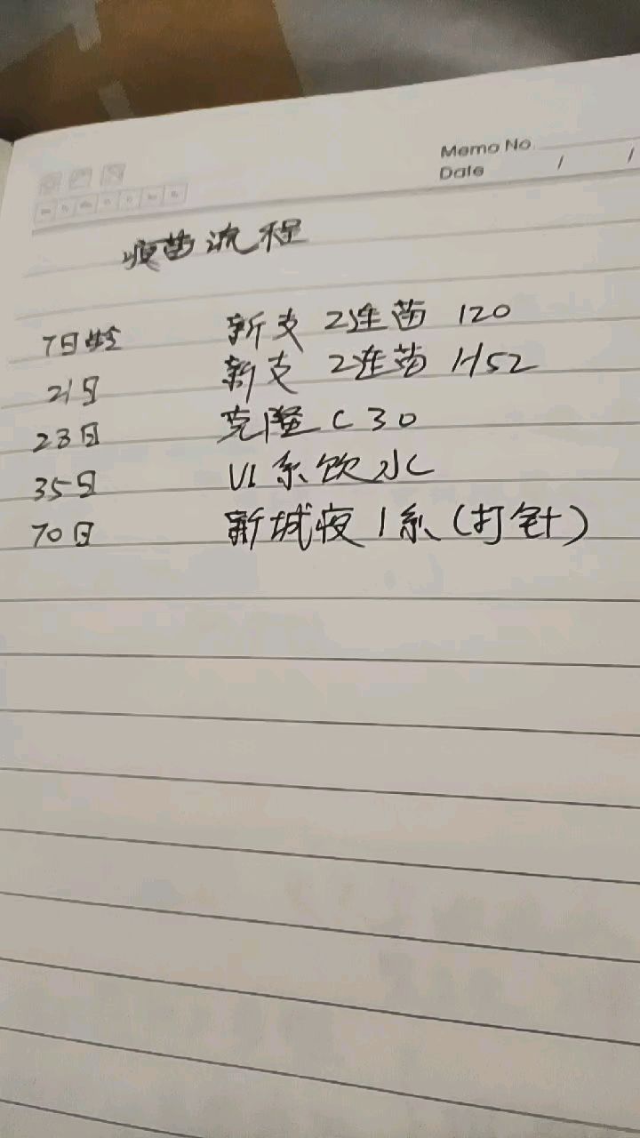 一年四季都可以孵化小鸡,但是春季是育雏最好的季节。