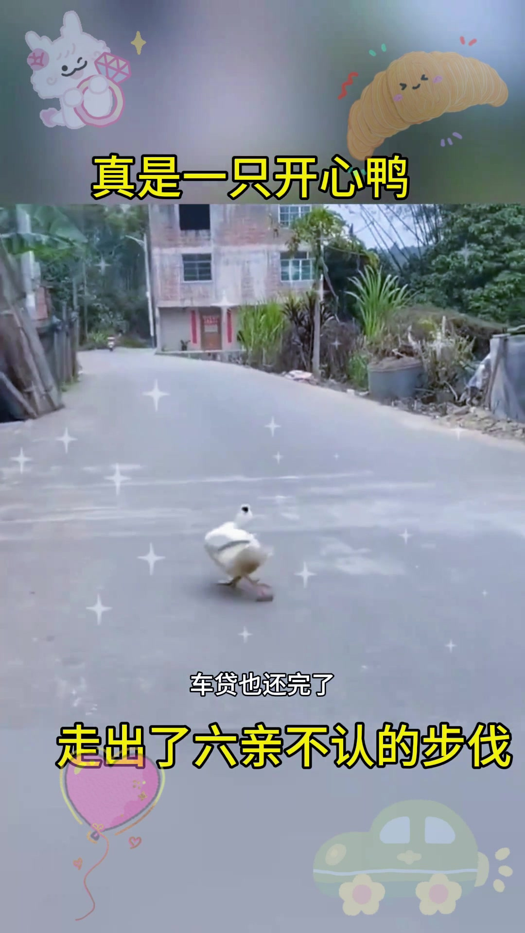 真是一只开心鸭,走出了六亲不认的步伐