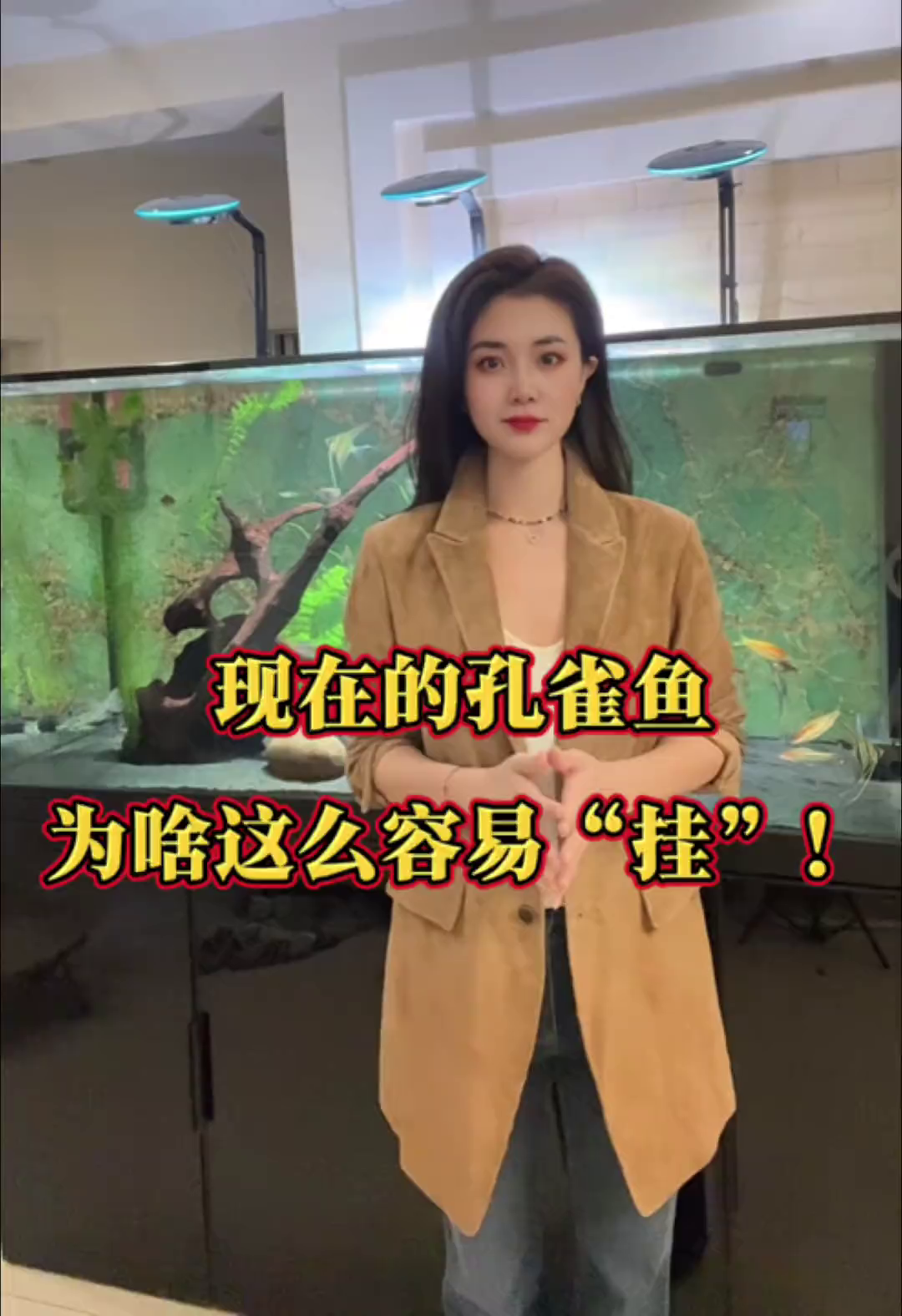 为什么现在的孔雀鱼容易养死？
