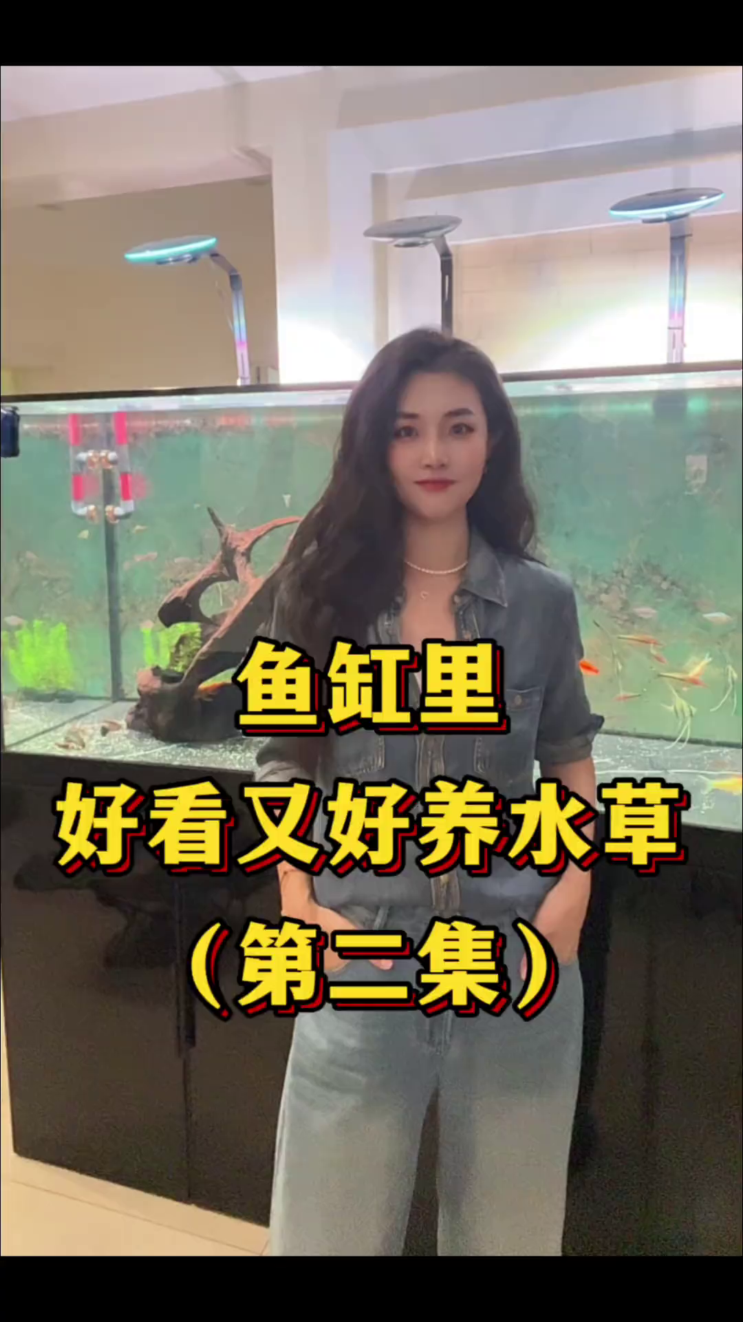 鱼缸里好看又好养的水草！