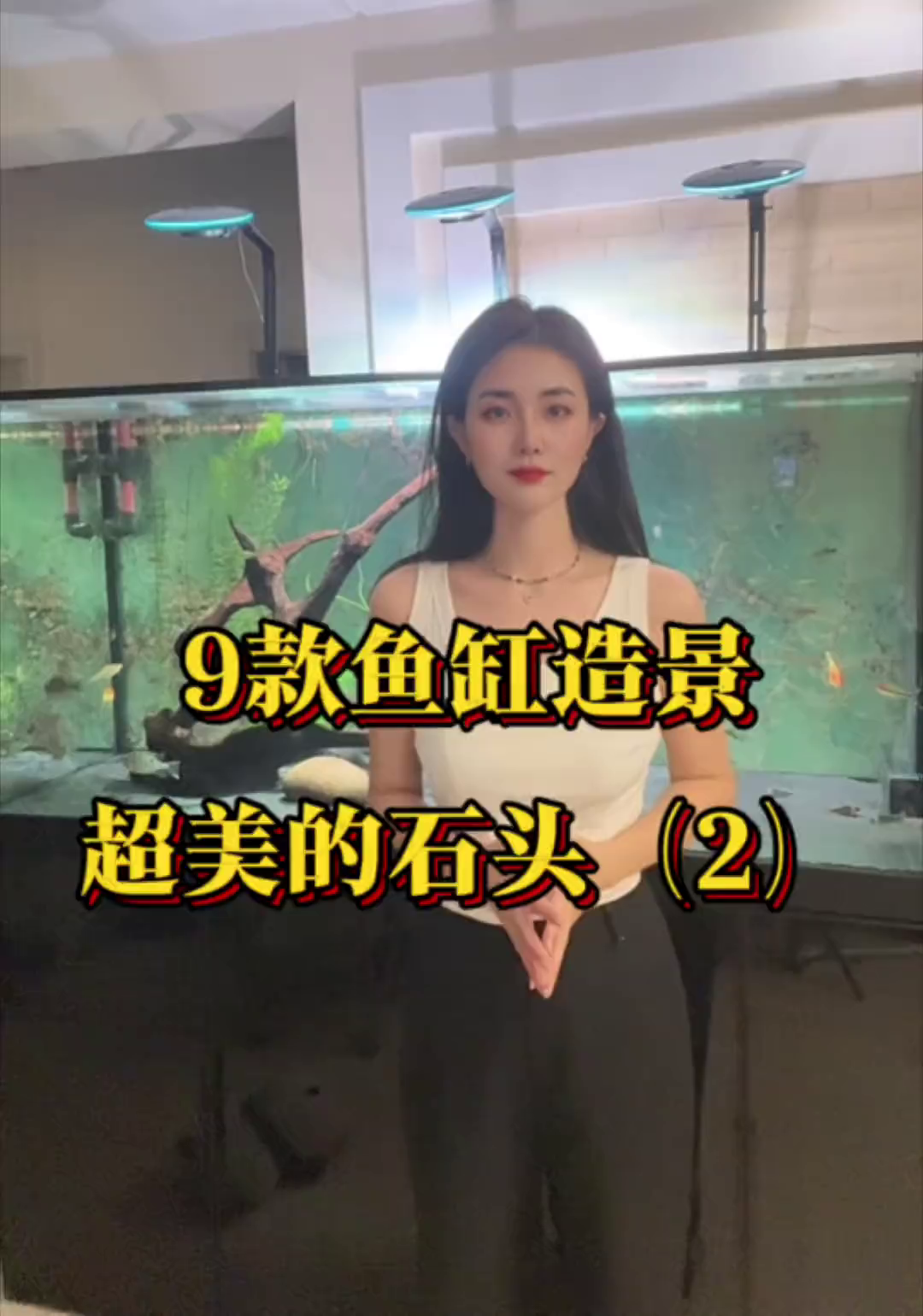 九款鱼缸造景好看的石头！