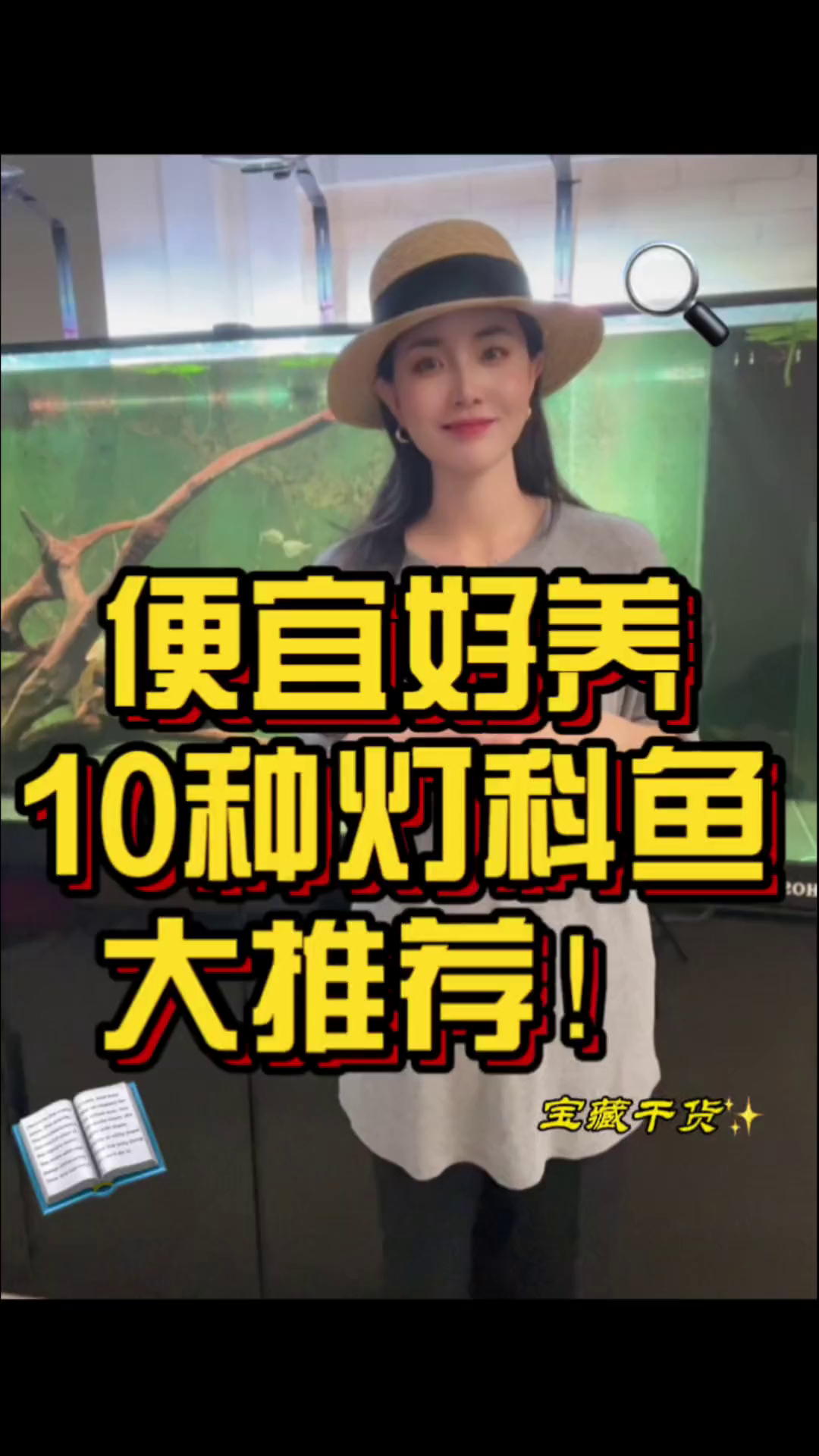 便宜好养的10种灯科鱼大推荐！