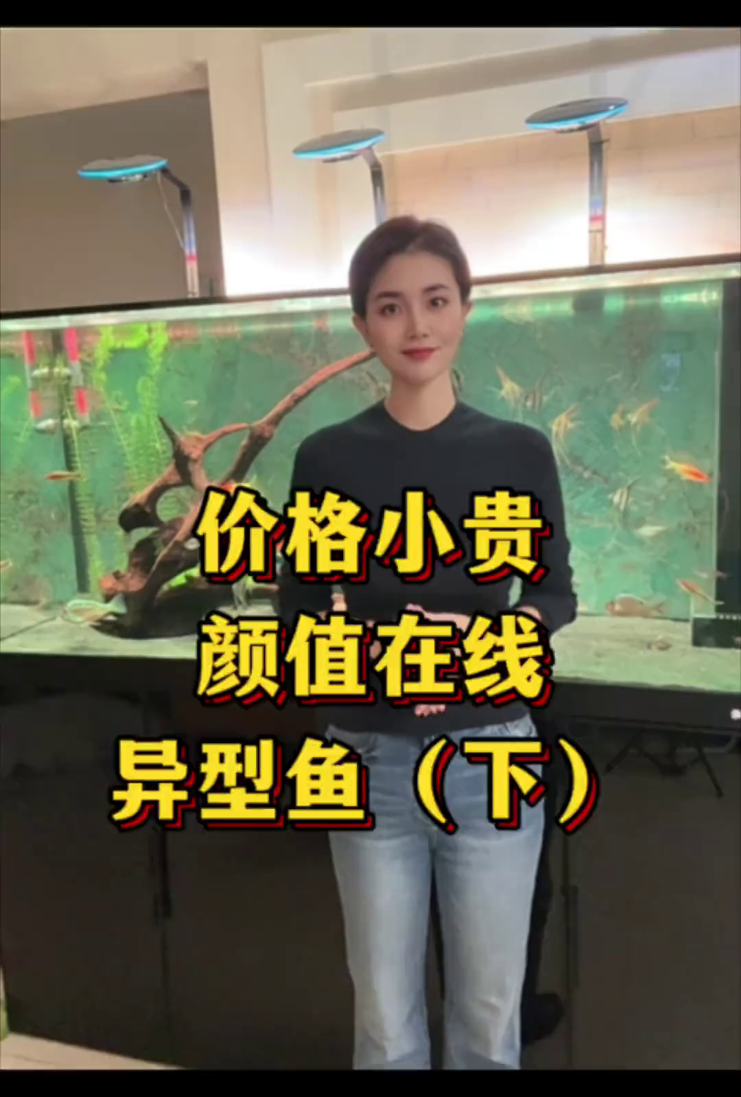 价格小贵但颜值在线的异形鱼下集