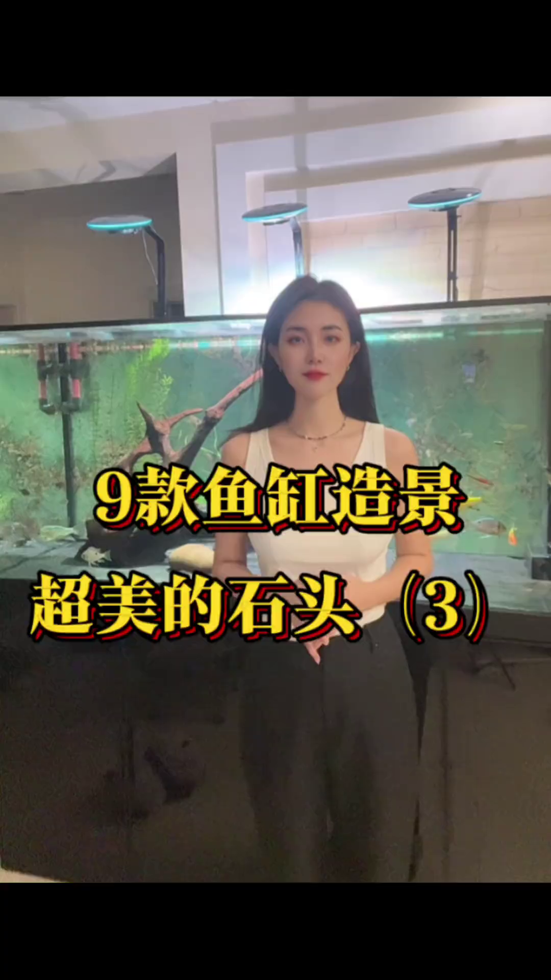 九款鱼缸造景超美的石头！