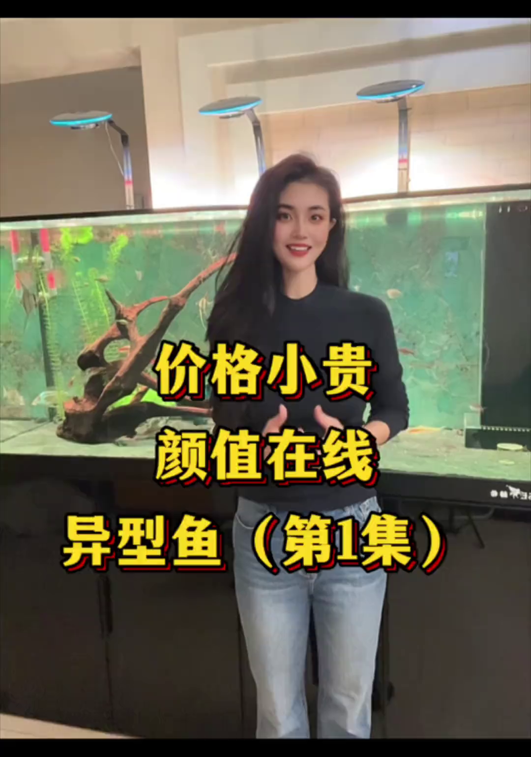 价格小贵，颜值在线的异形鱼上集