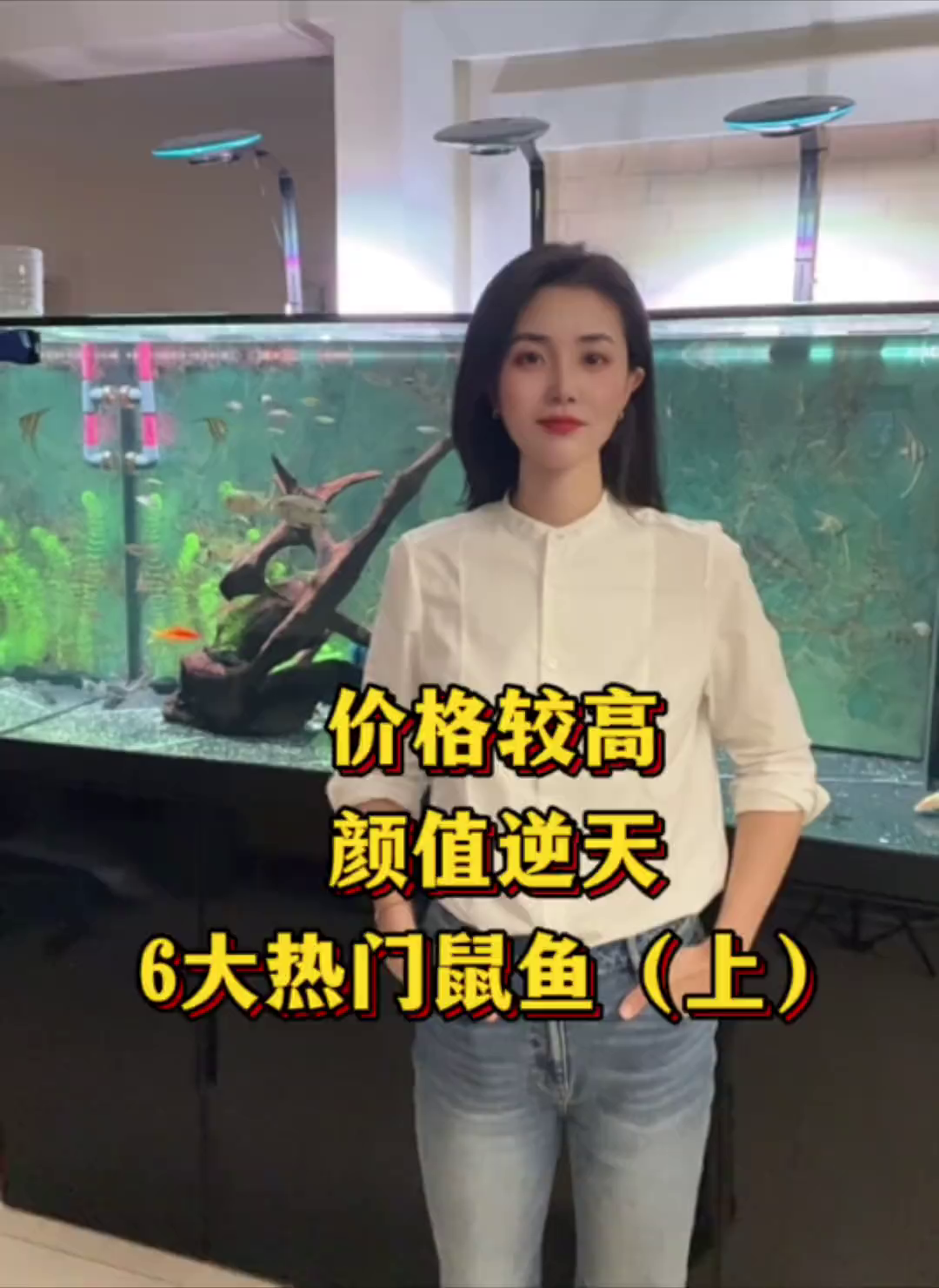 价格较高，颜值逆天的六大热门松鼠鱼！