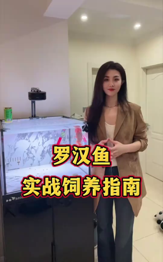 罗汉鱼实战饲养指南！