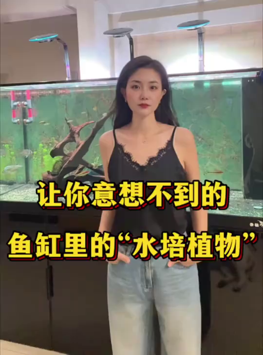 蔬菜也能做鱼缸水培！