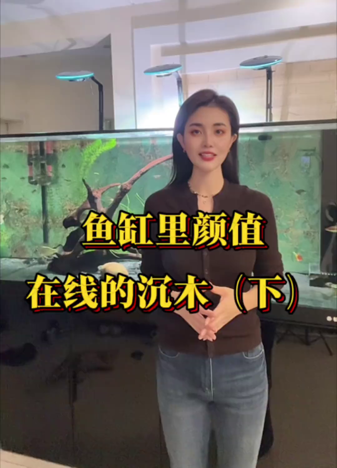 鱼缸里好看又适合造景的沉木有哪些呢?