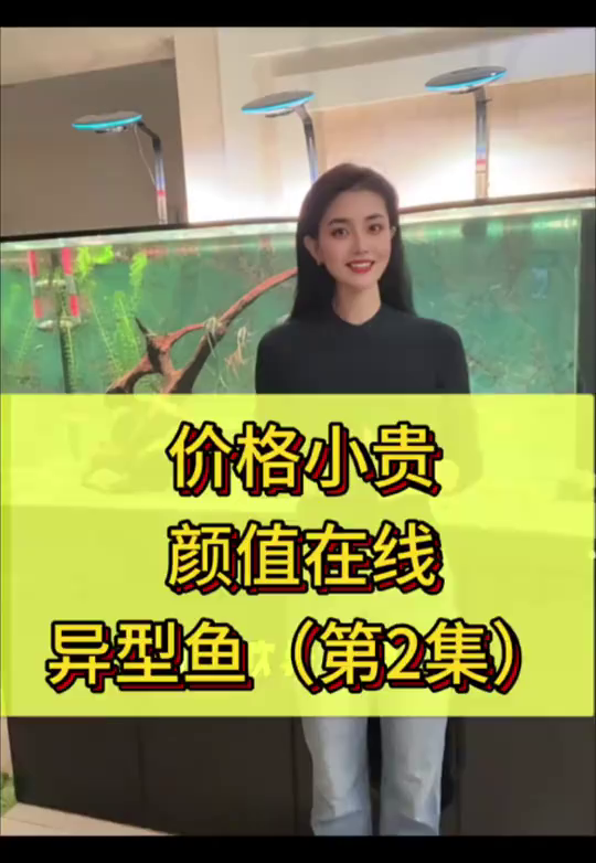 价格小贵，颜值在线的异形鱼二集！
