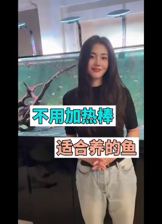 不怕冷的观赏鱼推荐