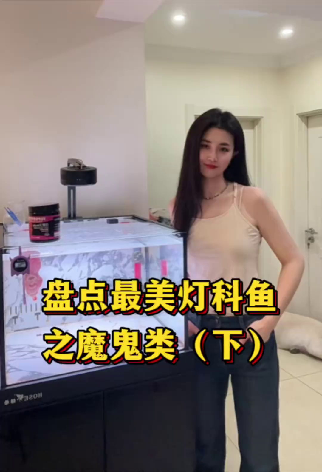 鱼缸里游动的精灵,最美灯科鱼有哪些?