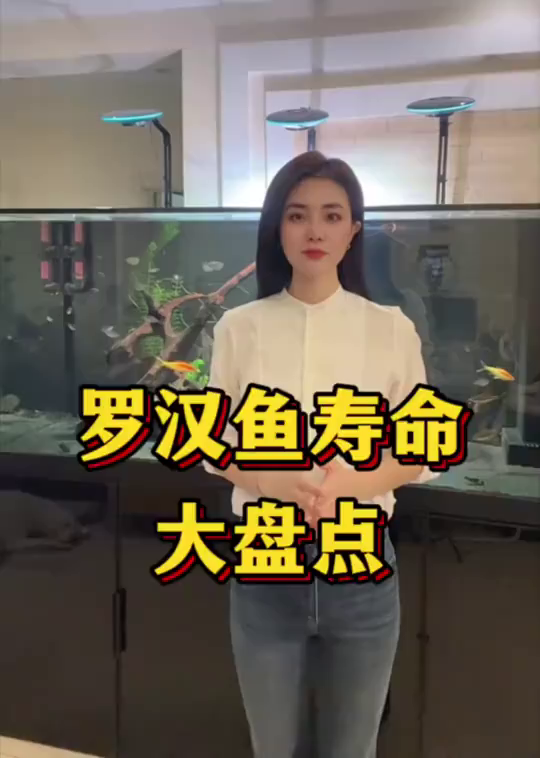 罗汉鱼寿命大盘点!