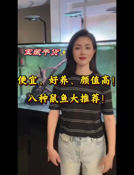 好养便宜颜值高的鼠鱼!
