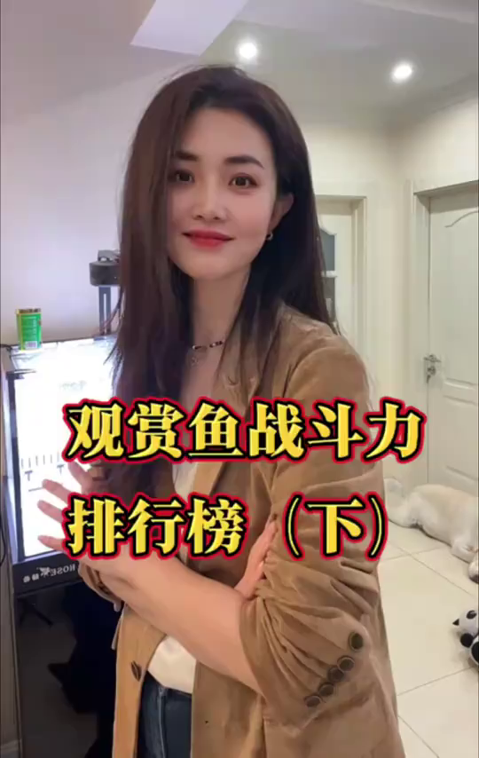 观赏鱼战斗力排行榜下