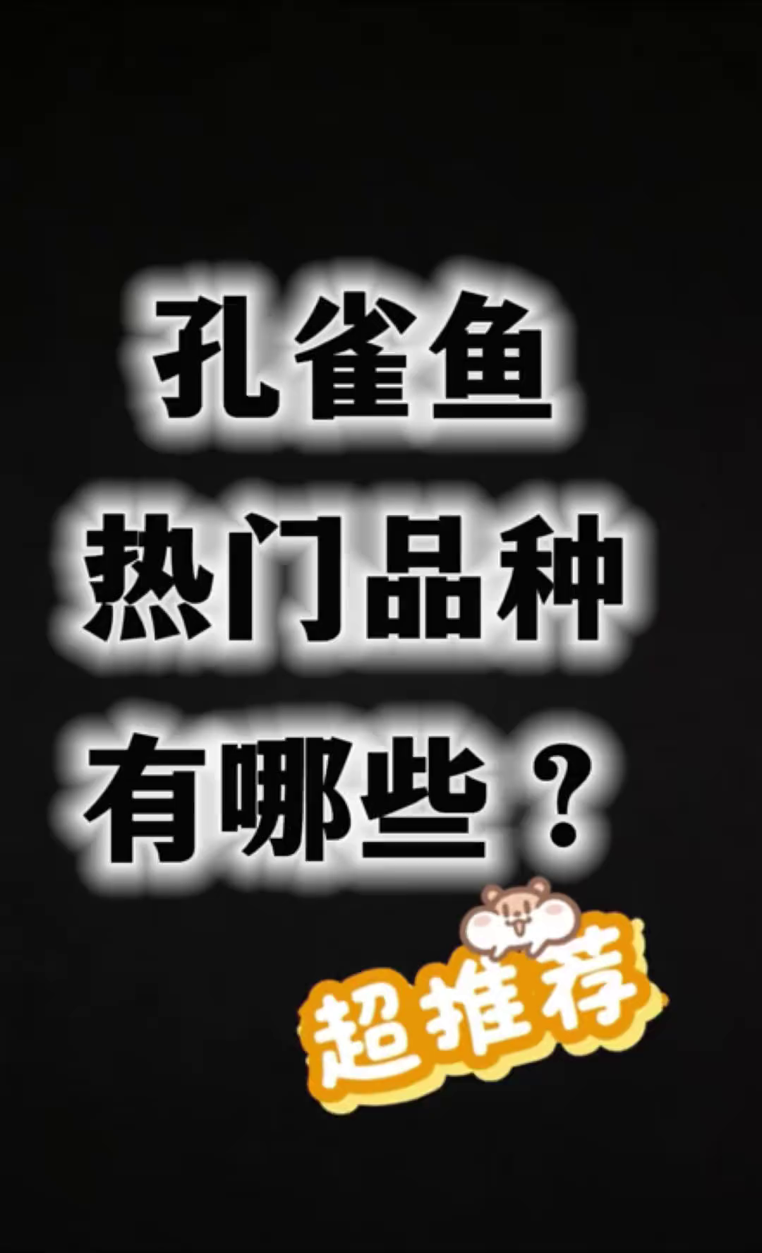 雀鱼热门品种有哪些?