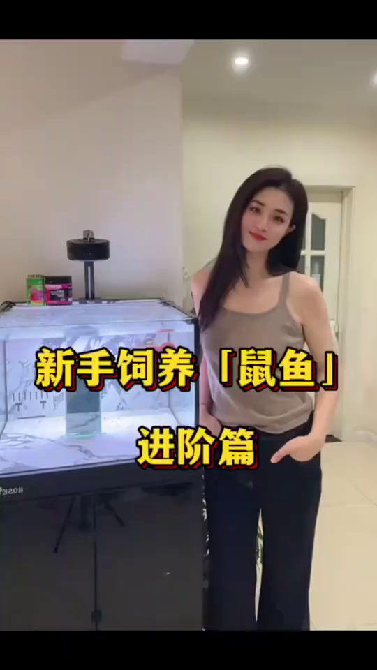 新手饲养鼠鱼,进阶篇!