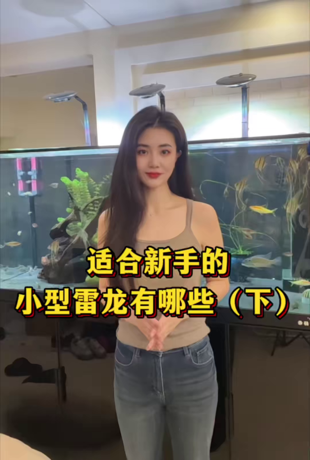 新手养鱼日记,观赏鱼!