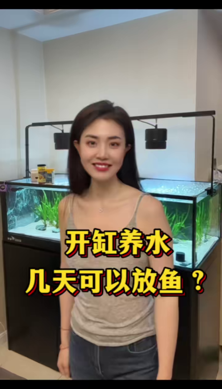 开缸后几天可以放鱼