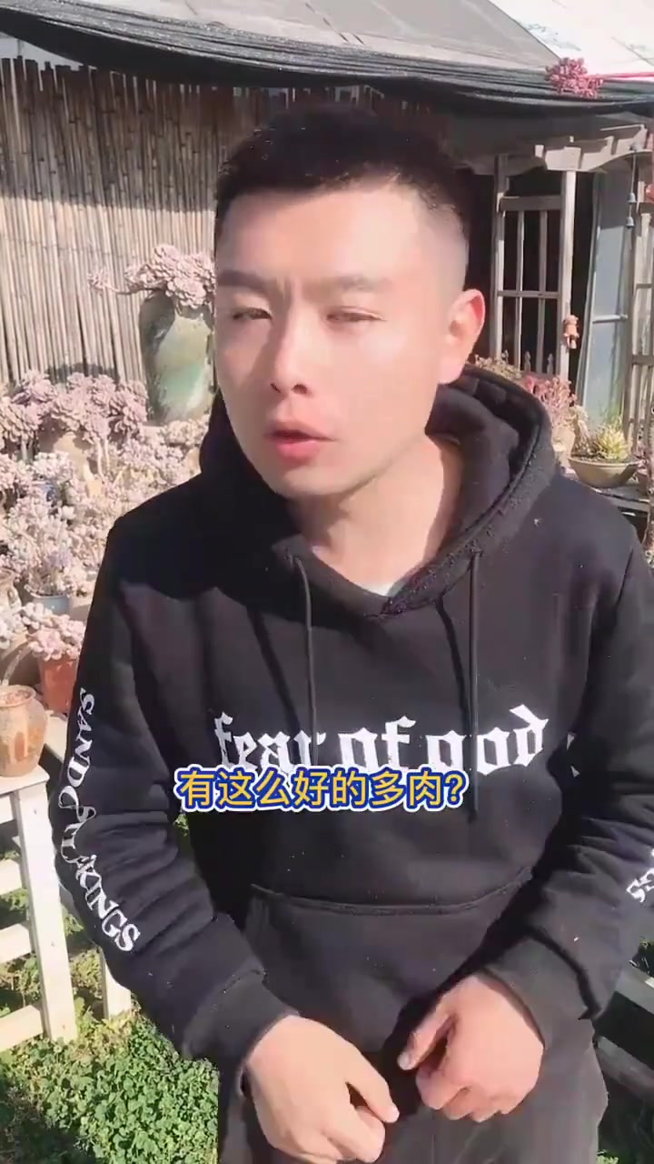 羽安讲多肉,晚霞!