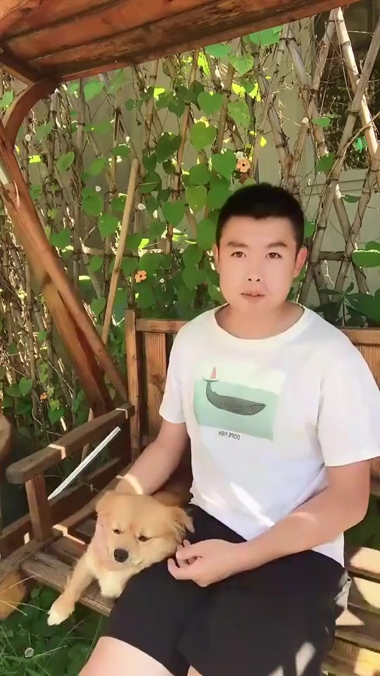 讲点你不知道的多肉故事,关于吉娃娃