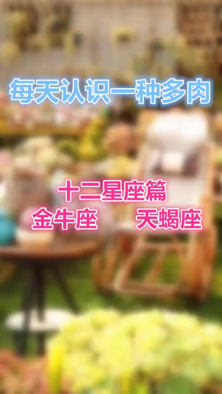 羽安讲多肉，多肉里的金牛座天蝎座