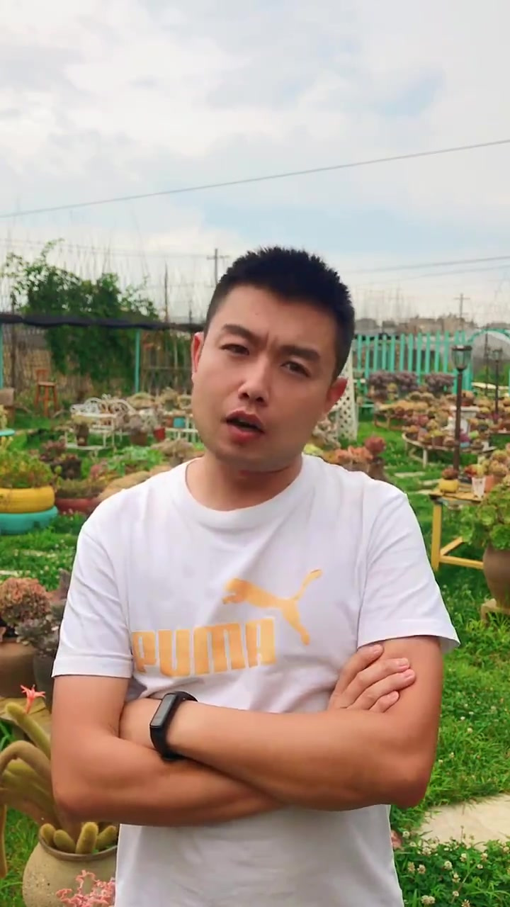 羽安讲多肉：紫玄月