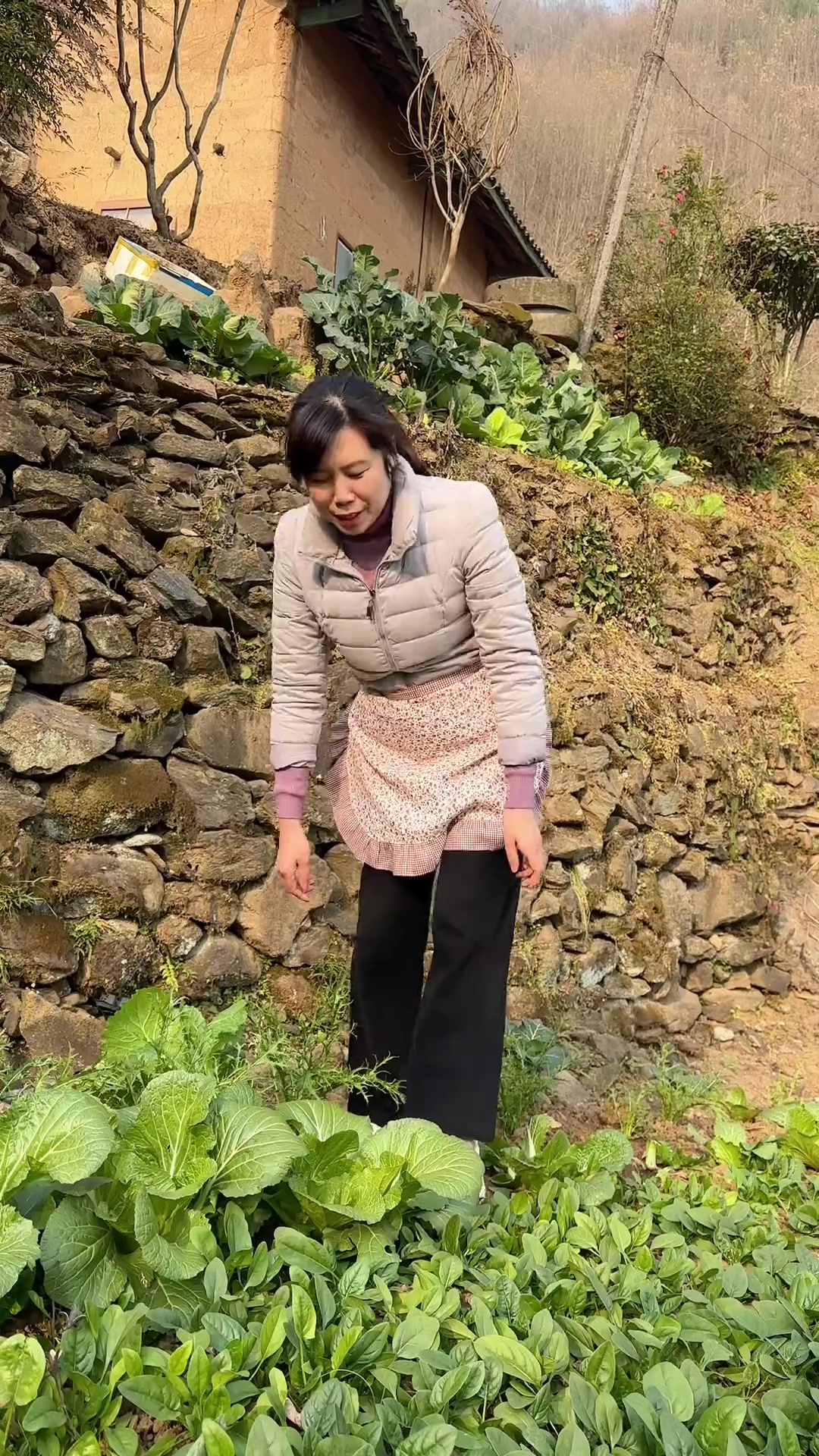 你们都别忘了吃一碗热腾腾的饺子哦，吃饺子不冻耳朵